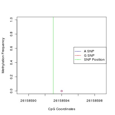 Allele Specific Methylation Frequency Diagram for chr12 26158593 SNP.