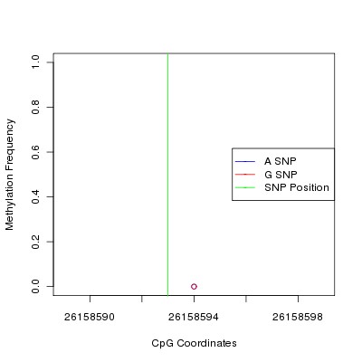 Allele Specific Methylation Frequency Diagram for chr12 26158593 SNP.