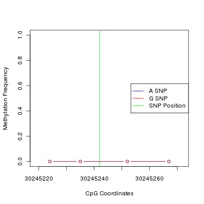 Allele Specific Methylation Frequency Diagram for chr12 30245242 SNP.