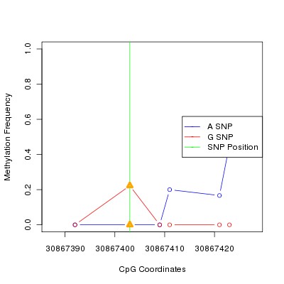 Allele Specific Methylation Frequency Diagram for chr12 30867403 SNP.
