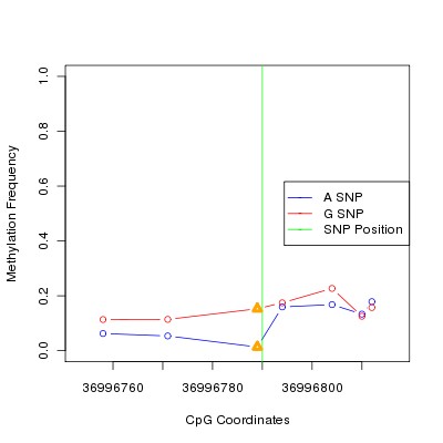 Allele Specific Methylation Frequency Diagram for chr12 36996790 SNP.