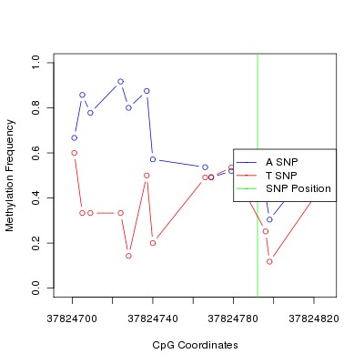 Allele Specific Methylation Frequency Diagram for chr12 37824792 SNP.