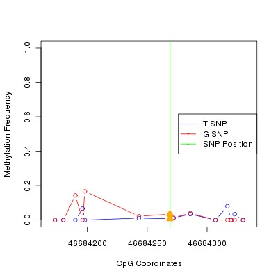 Allele Specific Methylation Frequency Diagram for chr12 46684269 SNP.