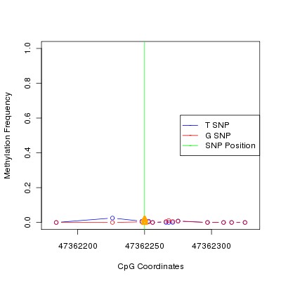 Allele Specific Methylation Frequency Diagram for chr12 47362250 SNP.