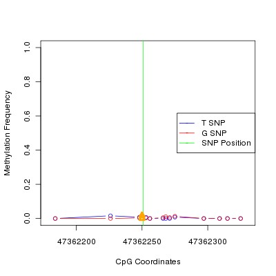 Allele Specific Methylation Frequency Diagram for chr12 47362251 SNP.