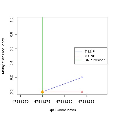 Allele Specific Methylation Frequency Diagram for chr12 47811275 SNP.