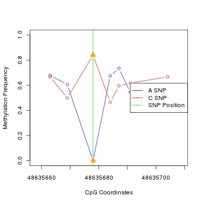 Allele Specific Methylation Frequency Diagram for chr12 48635678 SNP.