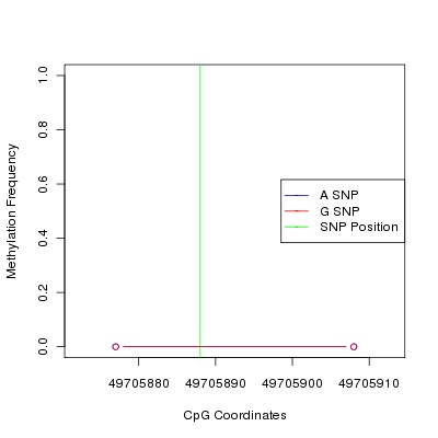 Allele Specific Methylation Frequency Diagram for chr12 49705888 SNP.