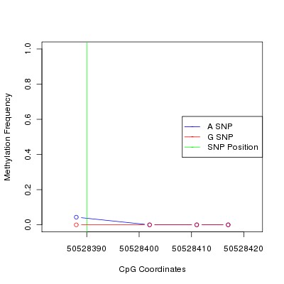 Allele Specific Methylation Frequency Diagram for chr12 50528390 SNP.