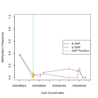 Allele Specific Methylation Frequency Diagram for chr12 50548948 SNP.