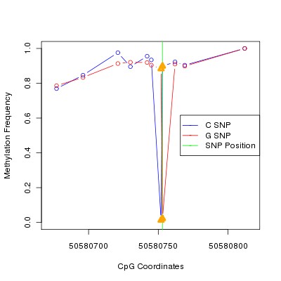 Allele Specific Methylation Frequency Diagram for chr12 50580753 SNP.