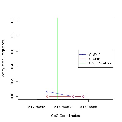 Allele Specific Methylation Frequency Diagram for chr12 51726849 SNP.