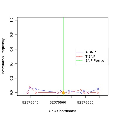 Allele Specific Methylation Frequency Diagram for chr12 52375564 SNP.