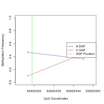 Allele Specific Methylation Frequency Diagram for chr12 52625319 SNP.