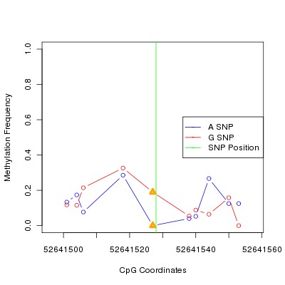 Allele Specific Methylation Frequency Diagram for chr12 52641528 SNP.