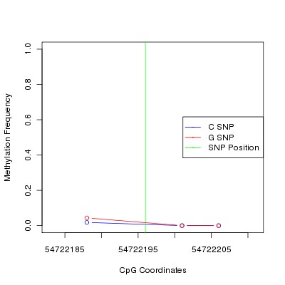 Allele Specific Methylation Frequency Diagram for chr12 54722196 SNP.