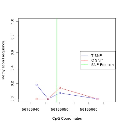 Allele Specific Methylation Frequency Diagram for chr12 56155849 SNP.