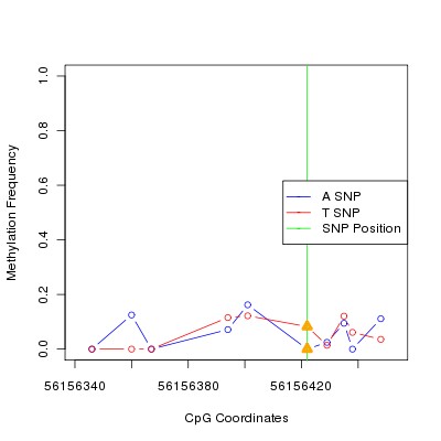 Allele Specific Methylation Frequency Diagram for chr12 56156422 SNP.