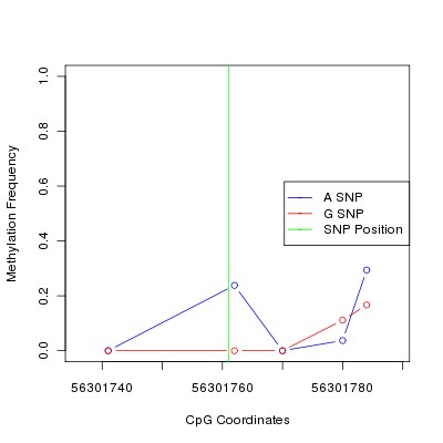 Allele Specific Methylation Frequency Diagram for chr12 56301761 SNP.