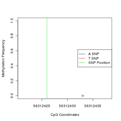 Allele Specific Methylation Frequency Diagram for chr12 56312426 SNP.