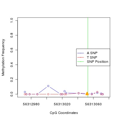 Allele Specific Methylation Frequency Diagram for chr12 56313053 SNP.