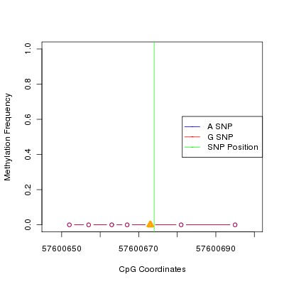 Allele Specific Methylation Frequency Diagram for chr12 57600674 SNP.