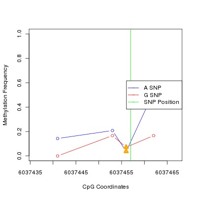 Allele Specific Methylation Frequency Diagram for chr12 6037457 SNP.