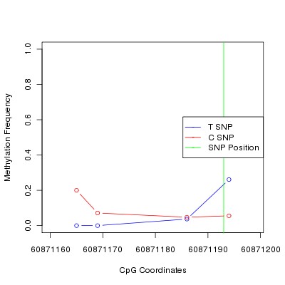 Allele Specific Methylation Frequency Diagram for chr12 60871193 SNP.