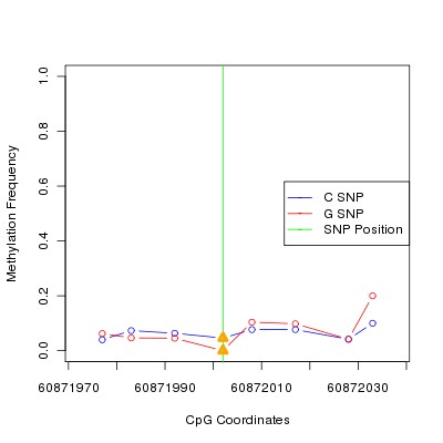 Allele Specific Methylation Frequency Diagram for chr12 60872002 SNP.