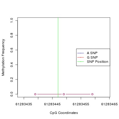 Allele Specific Methylation Frequency Diagram for chr12 61283447 SNP.