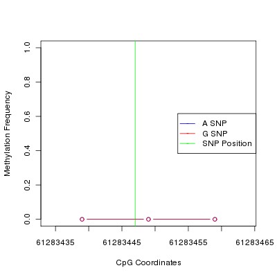 Allele Specific Methylation Frequency Diagram for chr12 61283447 SNP.