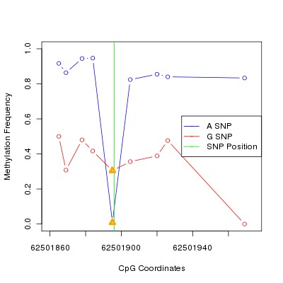 Allele Specific Methylation Frequency Diagram for chr12 62501896 SNP.