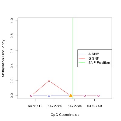 Allele Specific Methylation Frequency Diagram for chr12 6472729 SNP.