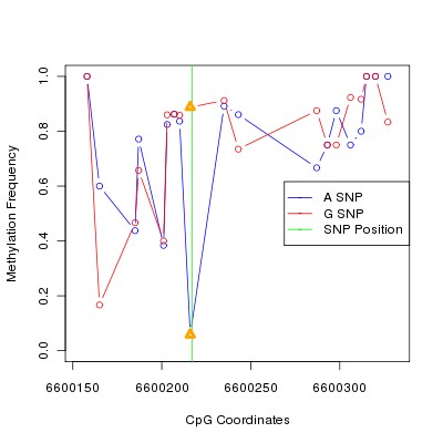 Allele Specific Methylation Frequency Diagram for chr12 6600217 SNP.