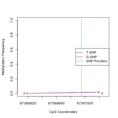 Allele Specific Methylation Frequency Diagram for chr12 67366995 SNP.