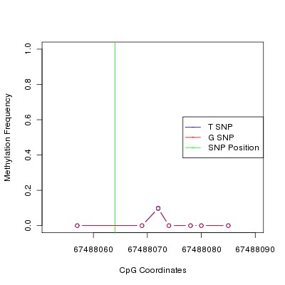 Allele Specific Methylation Frequency Diagram for chr12 67488064 SNP.
