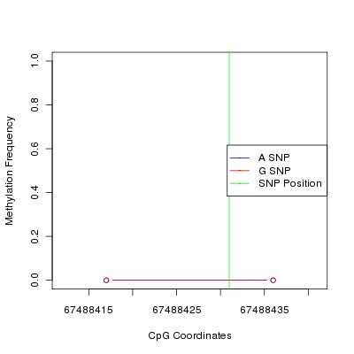 Allele Specific Methylation Frequency Diagram for chr12 67488431 SNP.