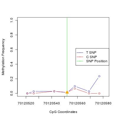 Allele Specific Methylation Frequency Diagram for chr12 70120552 SNP.