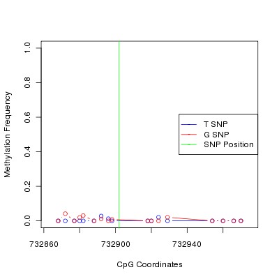 Allele Specific Methylation Frequency Diagram for chr12 732902 SNP.