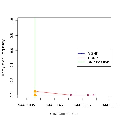 Allele Specific Methylation Frequency Diagram for chr12 94466038 SNP.