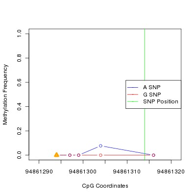 Allele Specific Methylation Frequency Diagram for chr12 94861314 SNP.