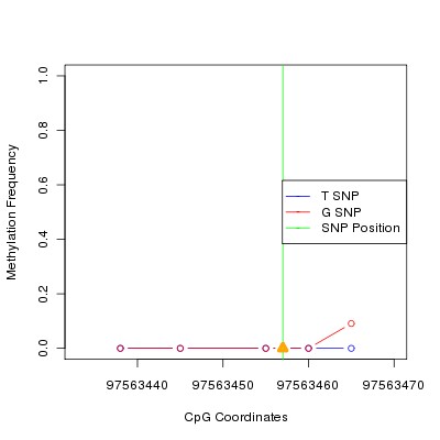 Allele Specific Methylation Frequency Diagram for chr12 97563457 SNP.