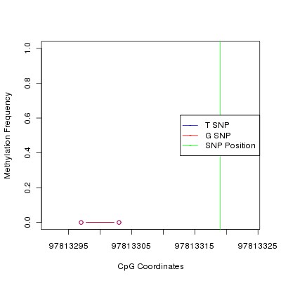 Allele Specific Methylation Frequency Diagram for chr12 97813319 SNP.