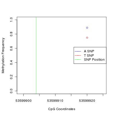 Allele Specific Methylation Frequency Diagram for chr16 53599904 SNP.