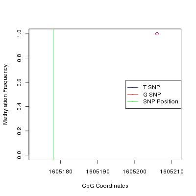 Allele Specific Methylation Frequency Diagram for chr19 1605178 SNP.