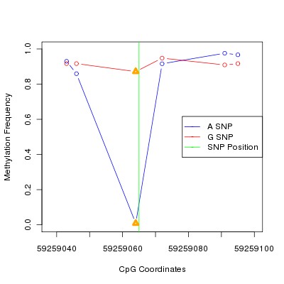 Allele Specific Methylation Frequency Diagram for chr19 59259065 SNP.