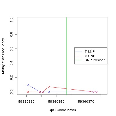 Allele Specific Methylation Frequency Diagram for chr19 59360357 SNP.