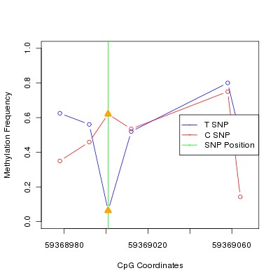 Allele Specific Methylation Frequency Diagram for chr19 59369001 SNP.