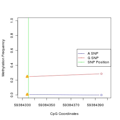 Allele Specific Methylation Frequency Diagram for chr19 59384335 SNP.