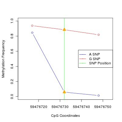 Allele Specific Methylation Frequency Diagram for chr19 59476732 SNP.